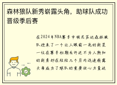 森林狼队新秀崭露头角，助球队成功晋级季后赛